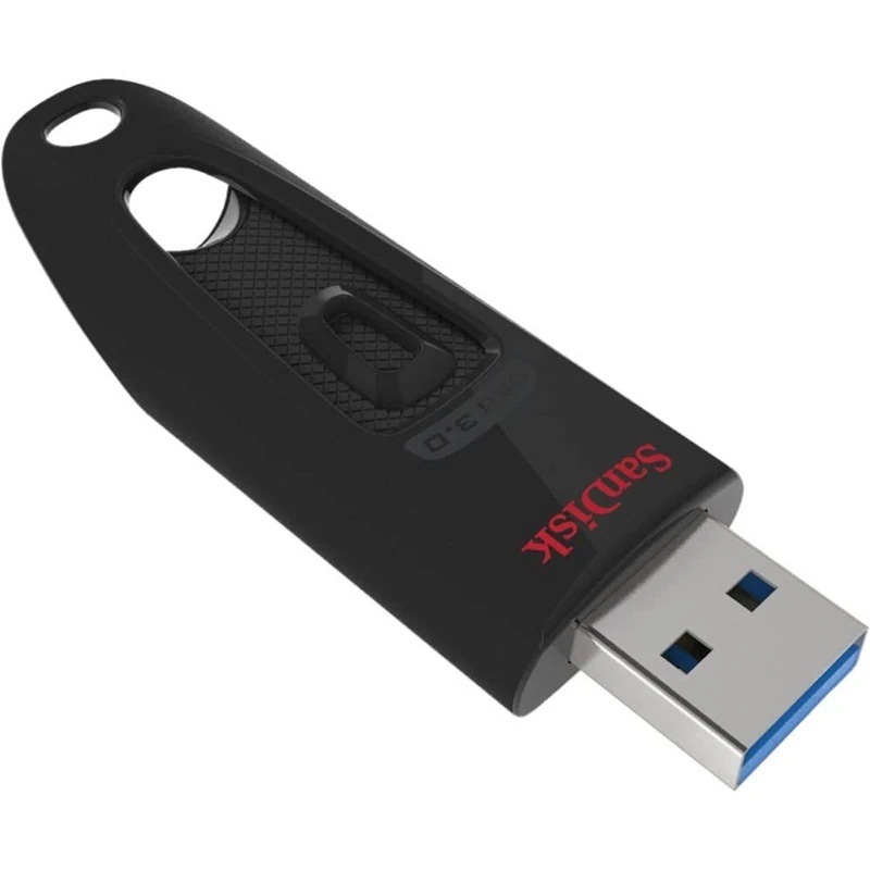 SDCZ48-256G-U46 [256GB]