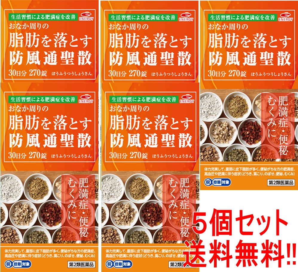 エナジー 防風通聖散料 3000mg 270錠 5個　150日分 【第2類医薬品】 肥満症 便秘 むくみ 9,360円