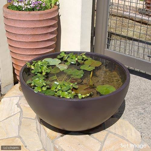 睡蓮鉢　睡蓮鉢（メダカ鉢）　凛　ＲＩＮ　丸型　ダークブラウン　Ｍ　睡蓮鉢・金魚鉢・メダカ鉢　ＣＲＣ90―06―25―00―00 14,935円