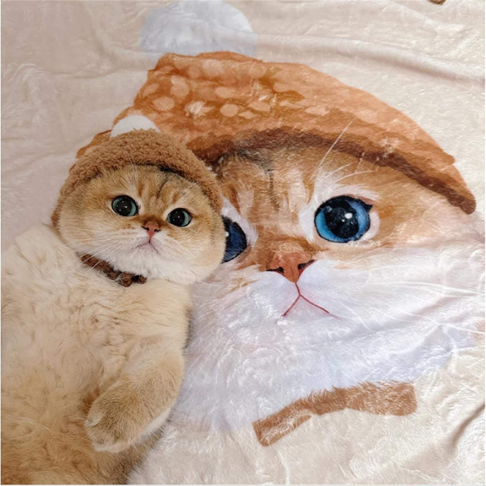 毛布 二枚合わせ オーダーメイド 犬猫用 写真入り 名前入り カラー指定対応可能 表面フランネル 裏面ボアオリ ジナル メモリアル用品 おしゃれ プレゼント ソファカバー ブランケット インテリア