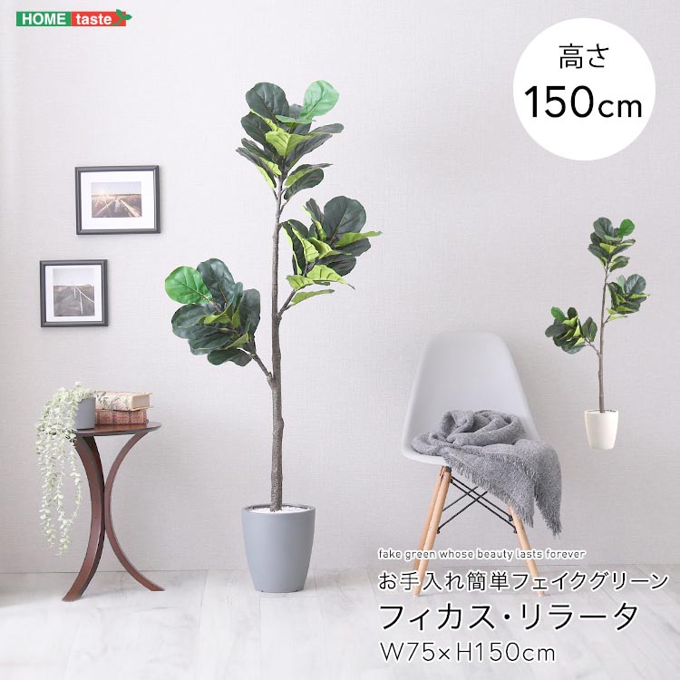 お手入れ簡単 フェイクグリーン フィカス・リラータ Mサイズ 150cm 鉢付 人工観葉植物 鉢カバー不要 造花 リアルさを追求 新生活 引っ越し 家具 インテリア 模様替え