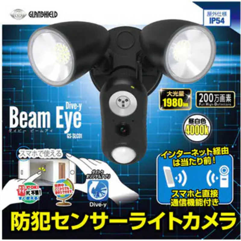 ダイトク　WI-FIセンサーライトカメラ　GS-SLC01