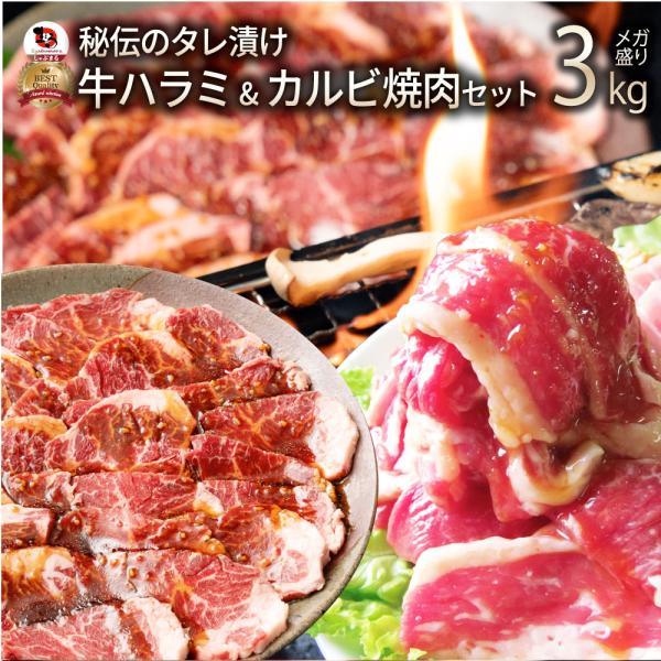 肉 牛肉 タレ漬け 牛ハラミ ＆ 国産牛入り カルビ焼肉 セット 3kg お中元 ギフト 食品 祝い プレゼント BBQ 焼肉 冷凍