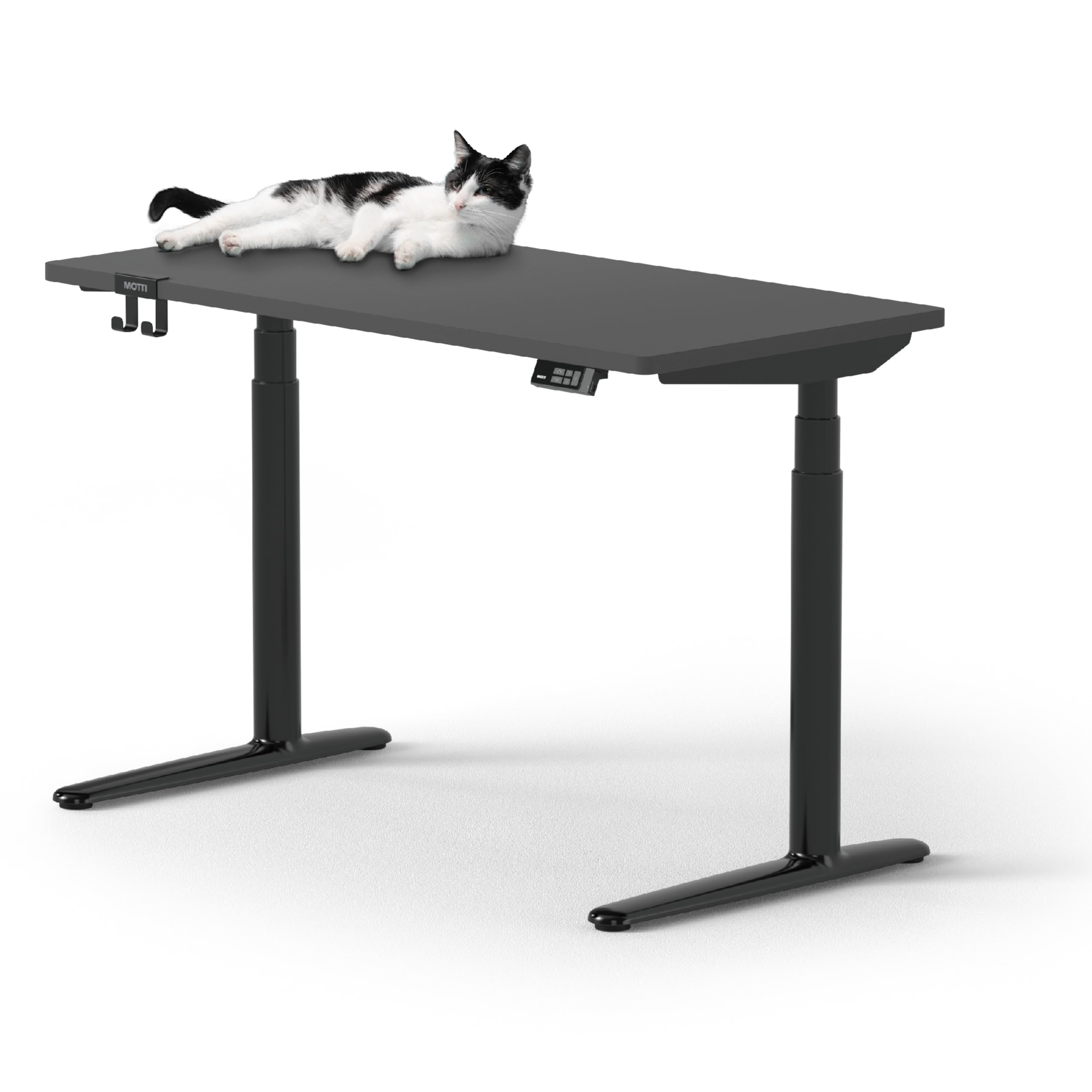 コの字型 電動式 昇降デスク デュアルモーター 昇降範囲60-120cm 3段階 スタンディングデスク パソコンデスク ゲーミングデスク ダークグレー天板 幅120 x 奥行60c 25992 429,600円
