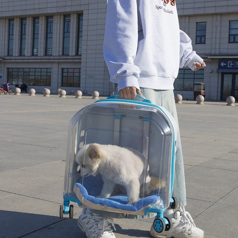 新しいペット用キャリーケース透明猫バッグ多目的猫ケースポケットポケットポケットポケットポケットポケット犬外出バッグ