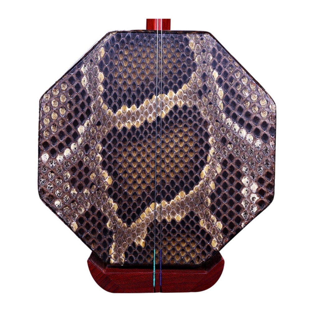 バス二胡 中国の伝統 弓弦楽器