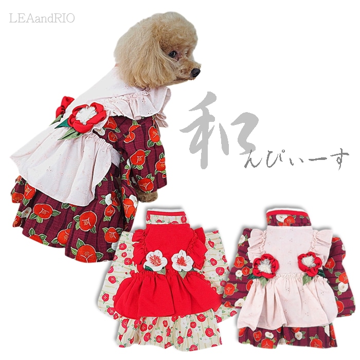 和んぴぃーす P855 P856