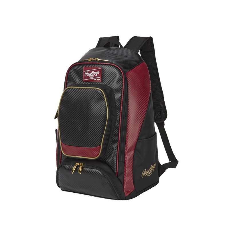 チームバックパック バッグ 23SS (EBP13S10)