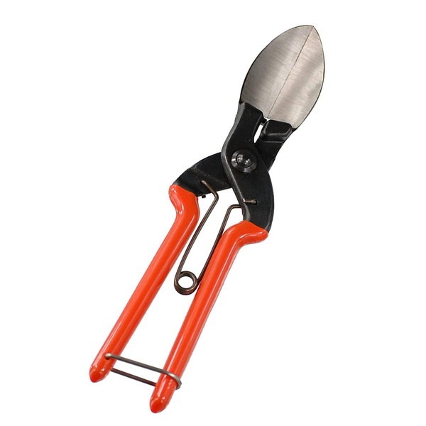 諏訪田製作所 かぼちゃ収穫用鋏 かぼちゃん 725604