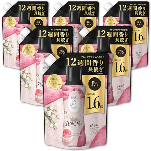 レノア オードリュクス 香り付け専用ビーズ マインドフルネスシリーズ サンデー 詰め替え 855mL6袋 [ケース品]