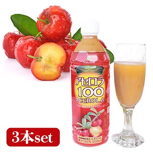 アセロラ100 500ml(3本入り) 沖縄特産販売 ビタミンCたっぷり アセロラ果汁100% 割り材やジュースに