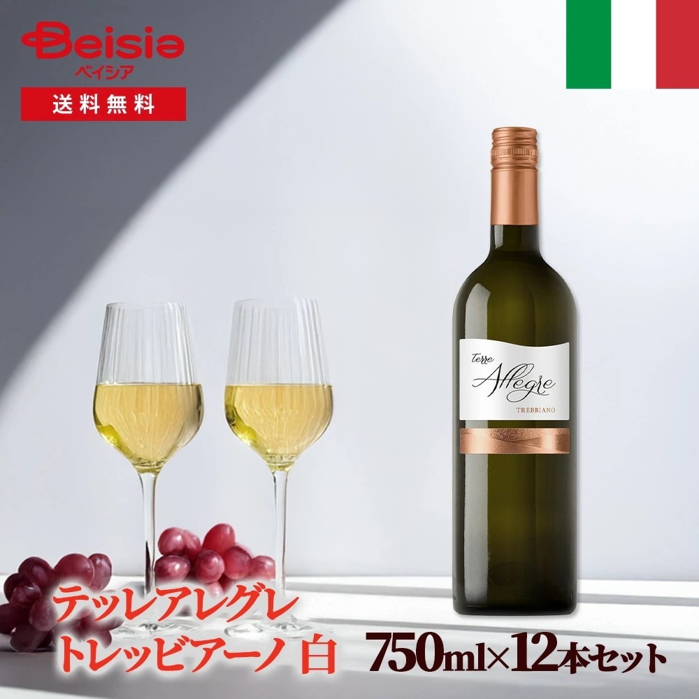 イタリアワイン テッレアレグレ トレッビアーノ 白 12本セット