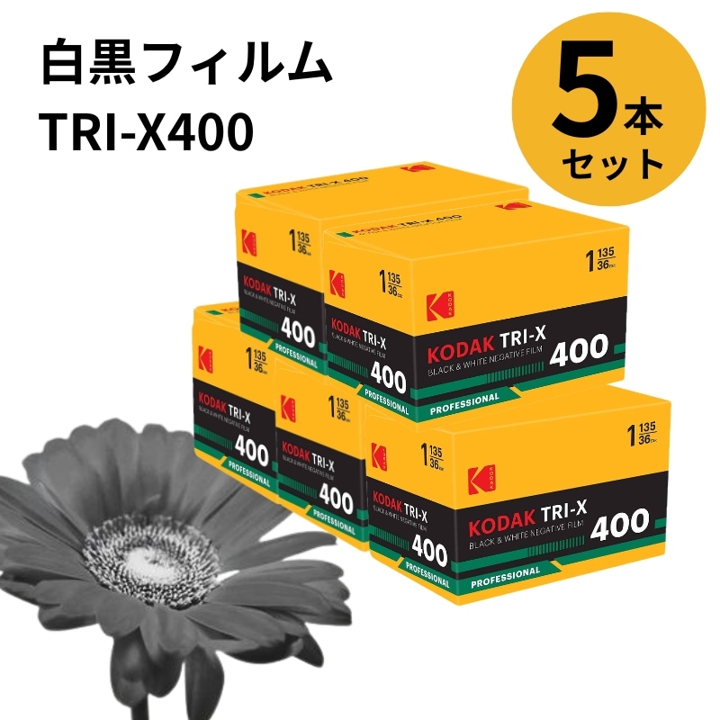 白黒フィルム トライ X400 35mm 135 36枚撮 プロフェッショナル用 モノクロフィルム 5本セット 8667073 輸入品