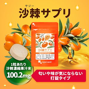 Qoo10] パクパク酵母くん 31袋入り 毎日元気 : 健康食品・飲料