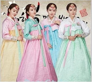 韓国 民族衣装 チマチョゴリ 豪華　上品　 オシャレ コスプレ パーティードレス 　服装　コスチューム　ハロウィン