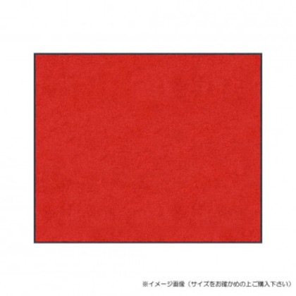 (クリーンテックス) スタンダードマットS レッド 60×90 cm