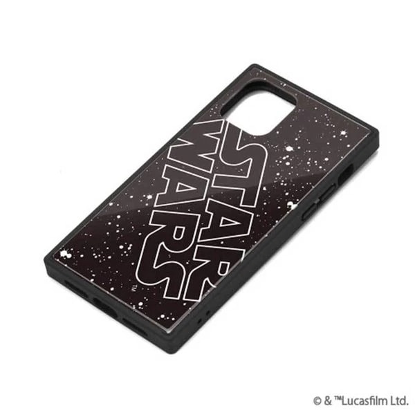 PG-DGT19A30SW [���S]