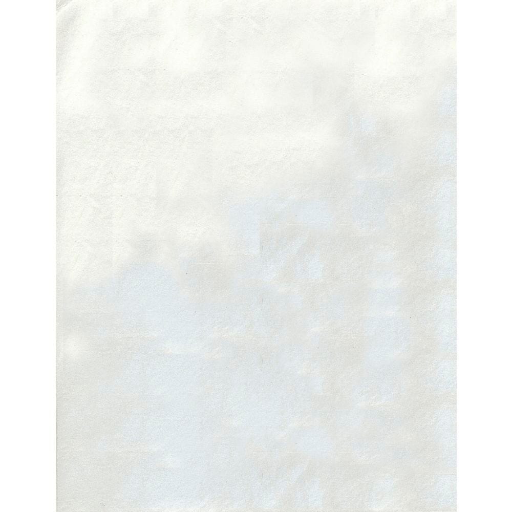 （まとめ買い）ササガワ 銀紙 小判 460x360mm 100枚入 31-32 [x5]