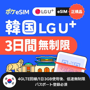 【キャリア正規販売店】韓国eSIM 3GB(低速無制限) 3日間 データ通信専用（受信専用番号付）パスポート登録必須 有効期限30日 免税店クーポン＋空港鉄道クーポン