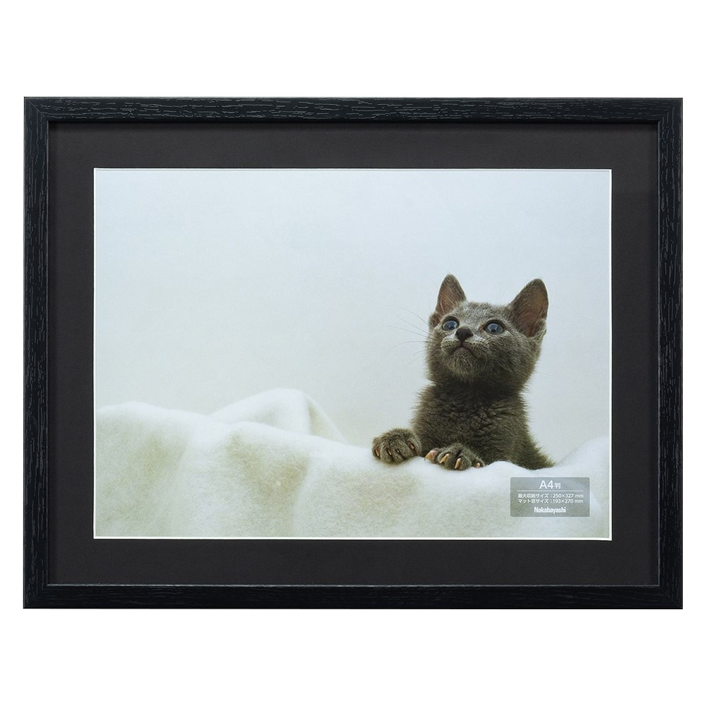 （まとめ買い）木製写真額 A4 ブラック F-SW-114-D [x3]