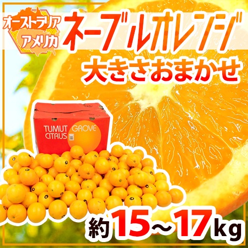=ネーブルオレンジ= 約15-17kg 大きさおまかせ アメリカ/オーストラリア 予約 入荷次第発送柑橘類