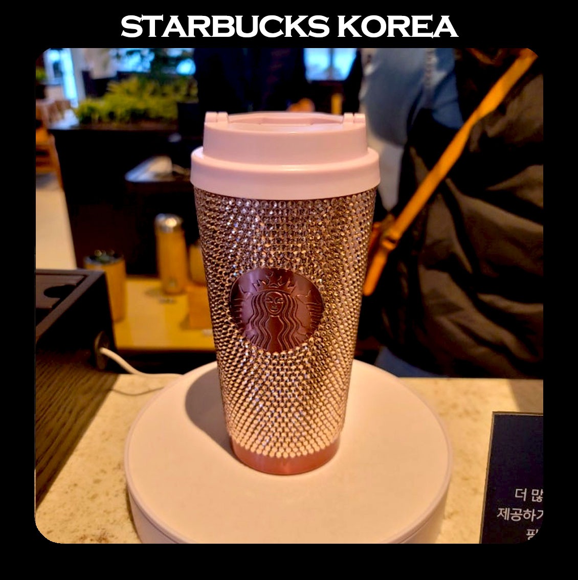 [限定] ザ春川の暗号R店専用MD SS Yunseul Rhinestone Pink Tumbler 473ml