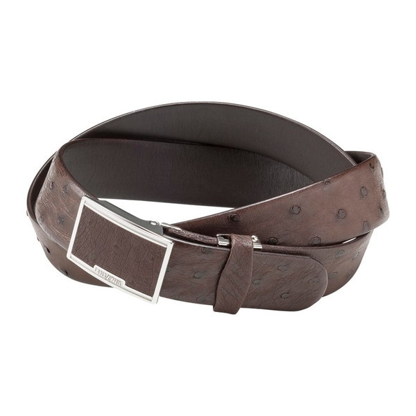 ゴールドファイル オーストリッチベルト チョコ GBC1450