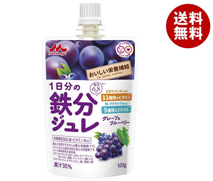 森永乳業 1日分の鉄分ジュレ グレープ&ブルーベリー 100gパウチ*24本入*(2ケース)