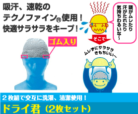 熱中症対策ドライ君 （2枚セット）大中産業