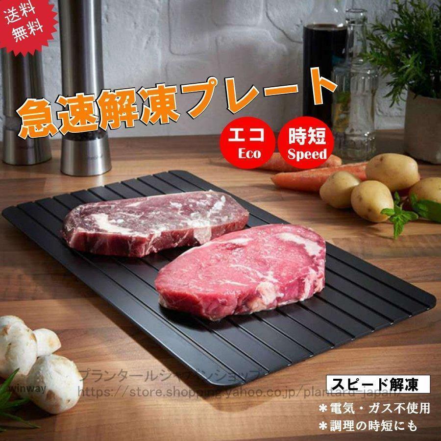 プレート 解凍 放熱 刺身 肉 冷凍食品 エコ 時短