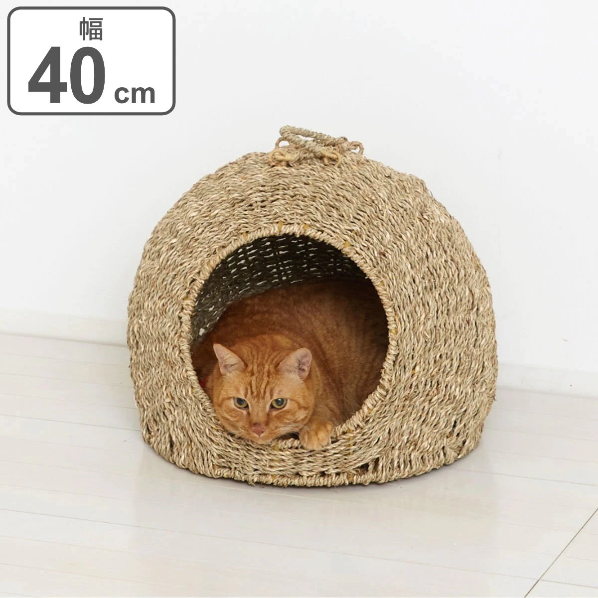 ペット用 ちぐら ウォーターヒヤシンス製 大 約幅40cm ねこちぐら つぐら クッション付き 持ち手付き ペットベッド かご バスケット アニマルバスケット 寝床 ペットハウス 猫用 犬用 ネコ