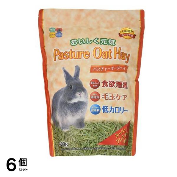 ハイペット 食べる牧草 パスチャーオーツヘイ 400g 6個セット