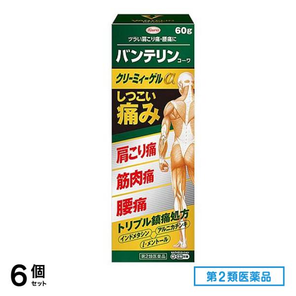 第２類医薬品 コーワクリーミィーゲルα 60g 6個セット