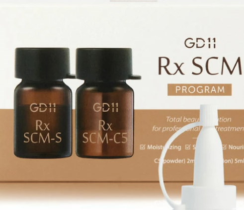 GD11 アールエックス RX SCM プログラム misforwomen.com