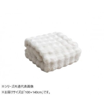 2枚合わせ毛布 ラピアス プレミアム IV 100×140cm 1195990140910