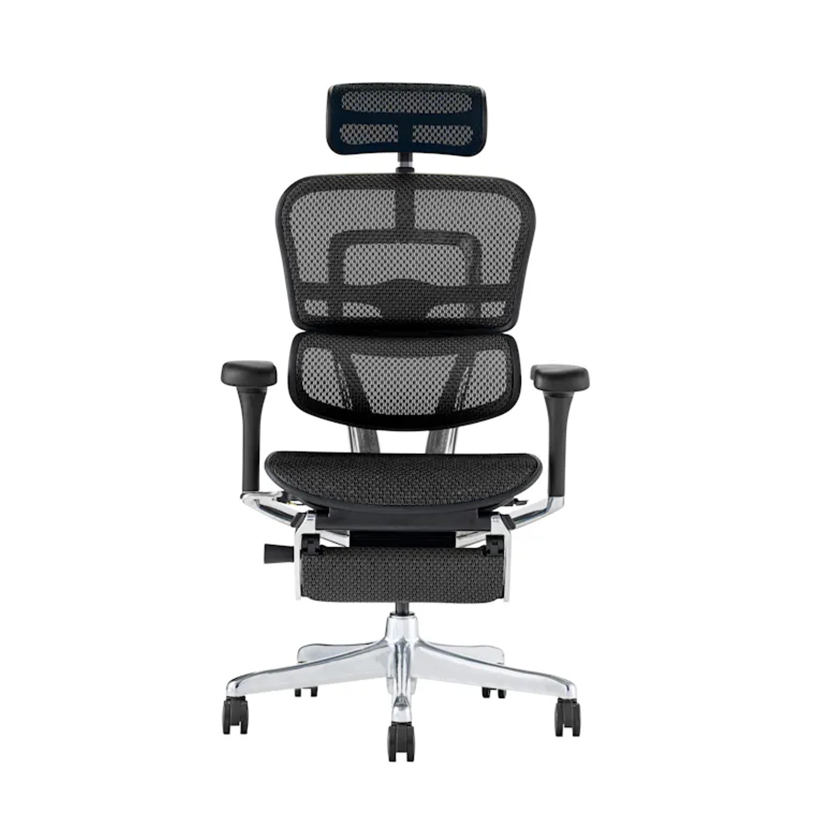 エルゴ ヒューマン BKフレーム EHP2-LPL-DR-BF-BK 家具 オフィスチェア フラッグシップモデル プロオットマンタイプ