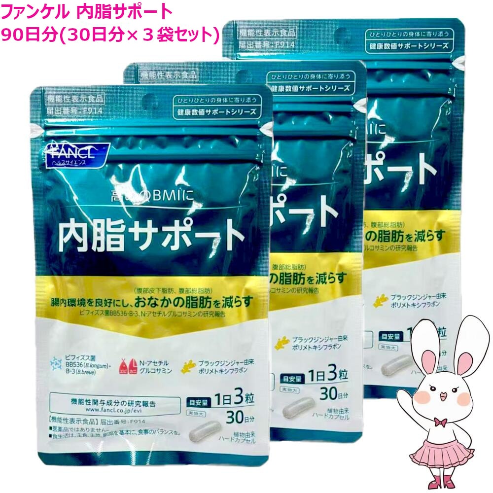 国内正規品 内脂サポート 90日分 (30日分×3袋セット) 賞味期限2027年5月以降 サプリメント リニューアル新パッケージ