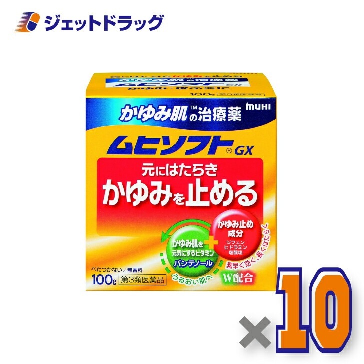 【第3類医薬品】かゆみ肌の治療薬 ムヒソフトGX 100g ×10個 セルフメディケーション税制対象（かゆみ肌の治療薬）