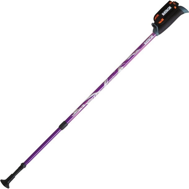 DFP プログレッシブズーム ウエルネスポール (wh1120-68)