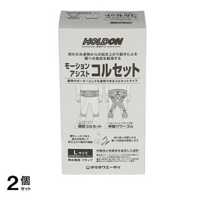 ホルドン モーションアシストコルセット 1個入 (Lサイズ) 2個セット 14,654円