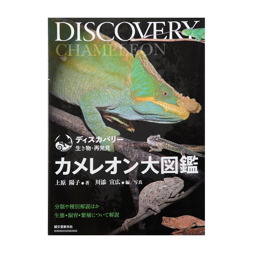 ディスカバリー生き物・再発見　カメレオン大図鑑　ＣＲＣ17―95―17―00―00