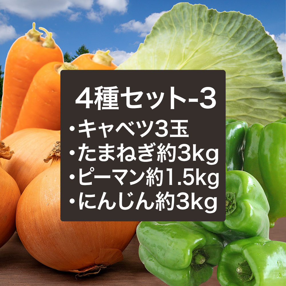 【4種セット-3】野菜セットC（キャベツたまねぎピーマンにんじん）4種セット きゃべつ 玉ねぎ ぴーまん 人参 定番 万能 おうちごはん おうち時間 ご家庭用 大量根菜類