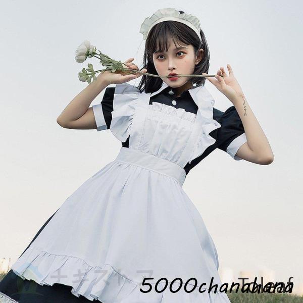 ワンピース 魔女 猫 コスプレ 衣装 黒 白 コスチューム [本日のセール]レディース パーティー変装 巫女 魔法使い 4点セット メイド服 女王 ロングドレス