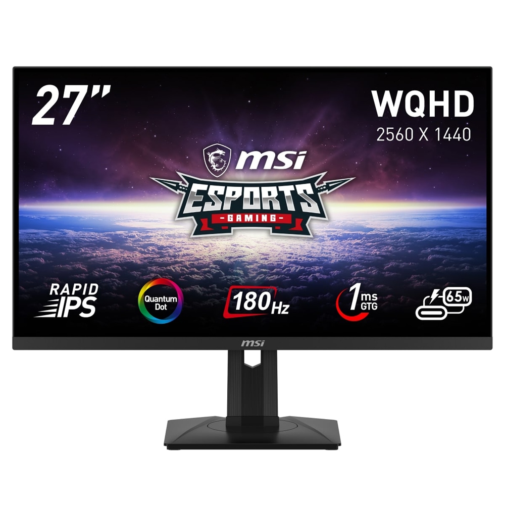 MSI ゲーミング液晶ディスプレイ(27型/RAPID IPS/WQHD 2560×1440/180Hz/1ms/HDR400/HDMI2.0b/DP1.4a/USB TYPE-C/VESA/PIP・