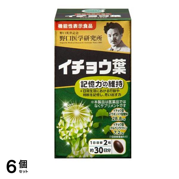 野口医学研究所 イチョウ葉 60粒 (約30日分) 6個セット
