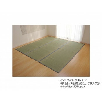 純国産 い草上敷きカーペット 岩木 江戸間4.5畳 261x261cm