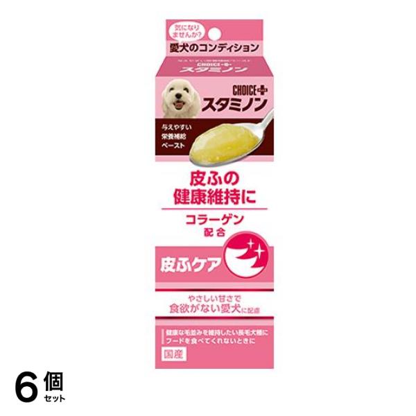 チョイスプラス スタミノン 皮ふの健康維持に 40g 6個セット