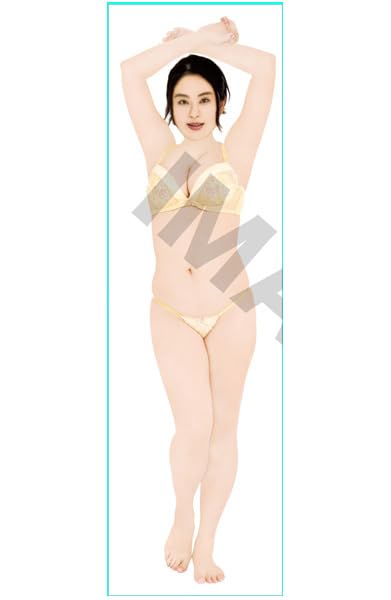 トロたん 通常版 等身大抱き枕カバー 170x50cm