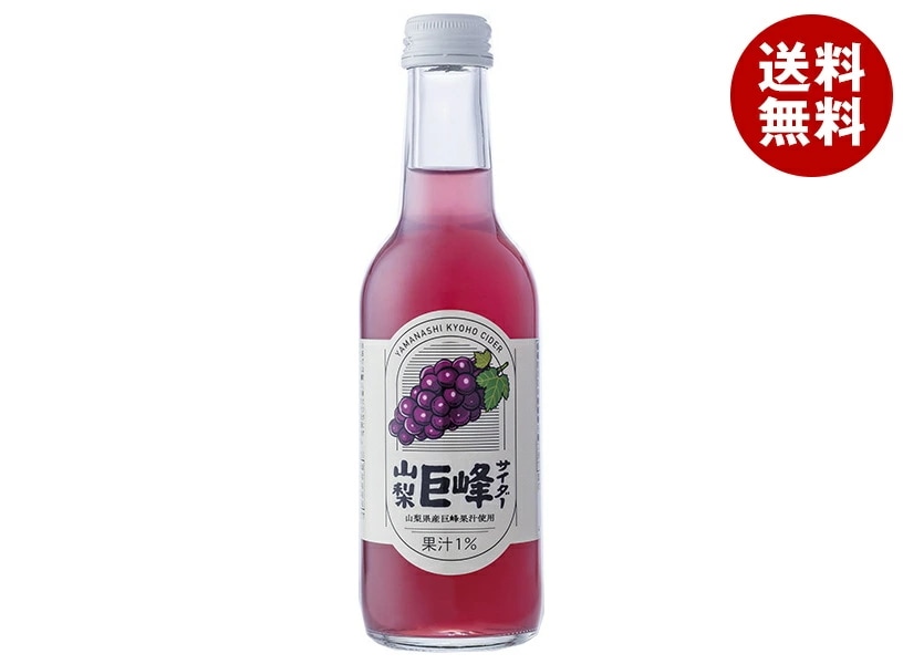 友桝飲料 山梨 巨峰サイダー 245ml瓶×24本入×(2ケース)