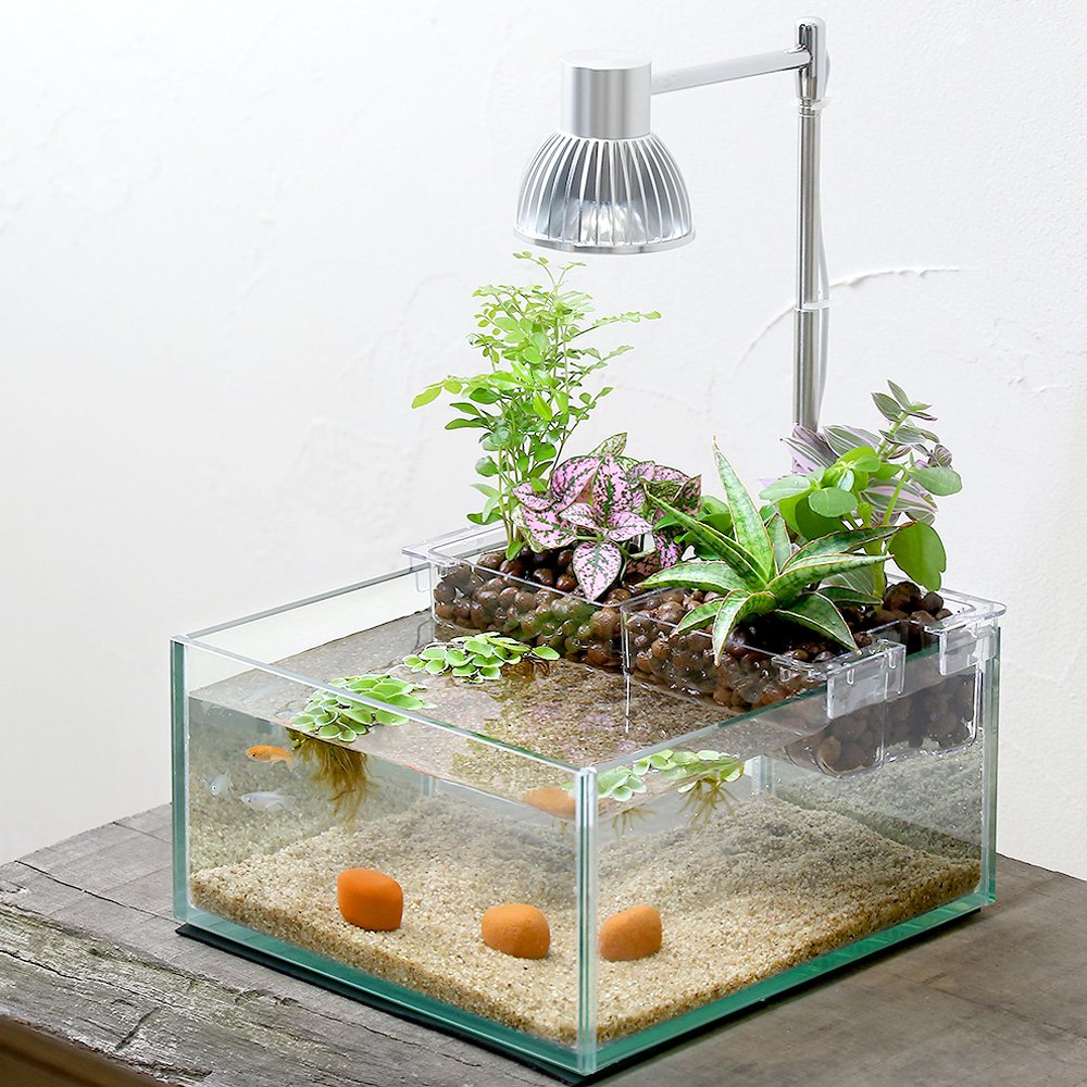 （めだか）（水草）水作　アクアテリア　メダカ飼育レイアウトセット　Ｎ１９０　本州・四国限定　ＣＲＣ10―11―03―10―10